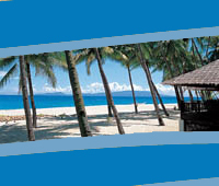 Hawaii beaches