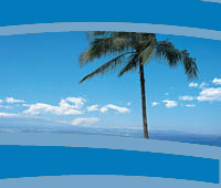 Ocean Cruises